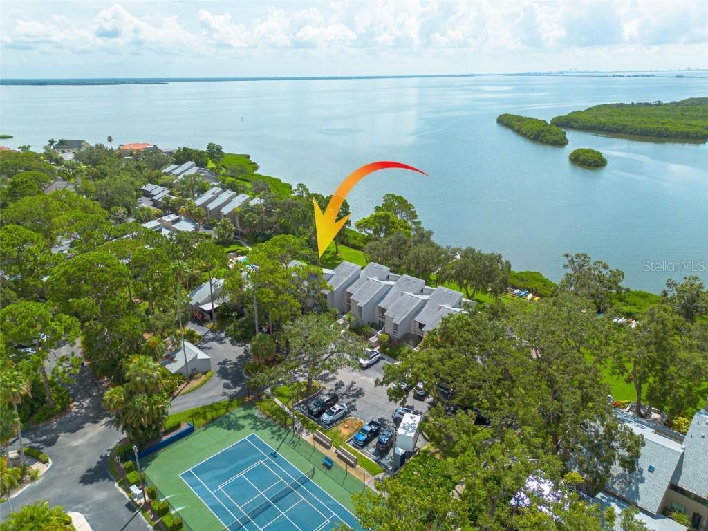 1111 N Bayshore Blvd. #B11, Clearwater, FL 33759