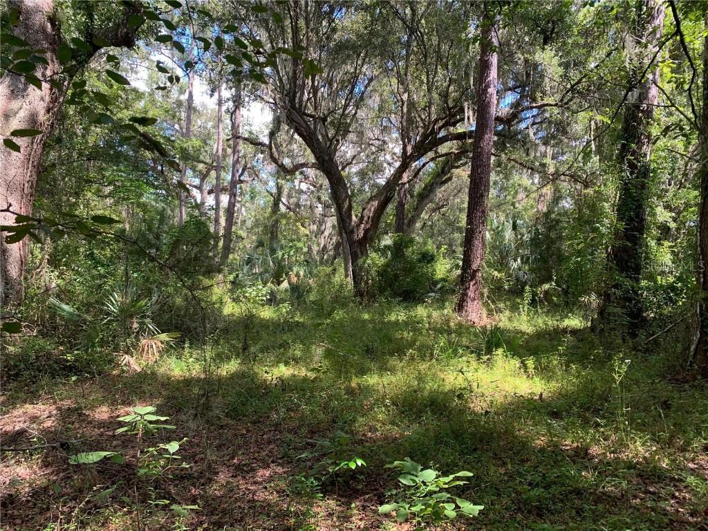 Cortez Blvd., Brooksville, FL 34601