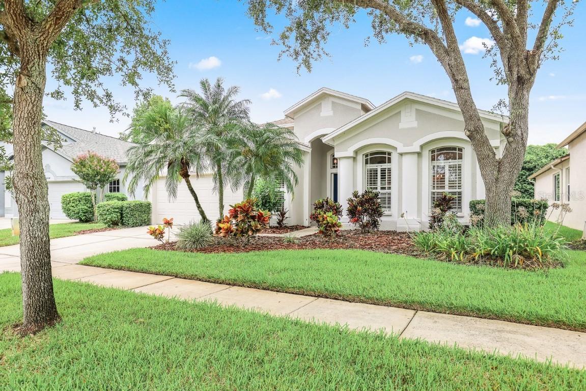 15533 Martinmeadow Dr., Lithia, FL 33547