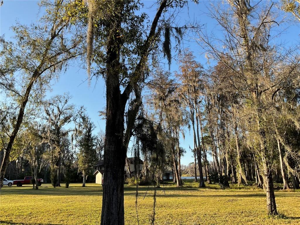 1029 Van Dyke Rd., Lutz, FL 33548