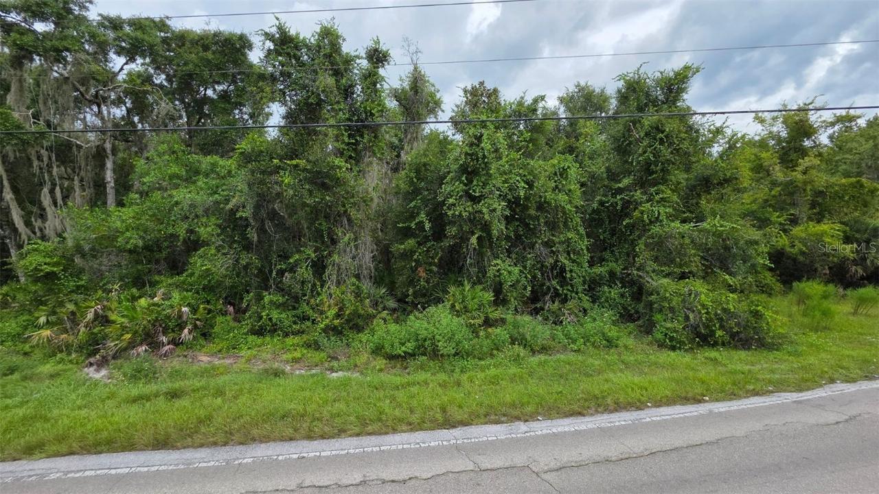 9680 E Gospel Island Rd., Inverness, FL 34450