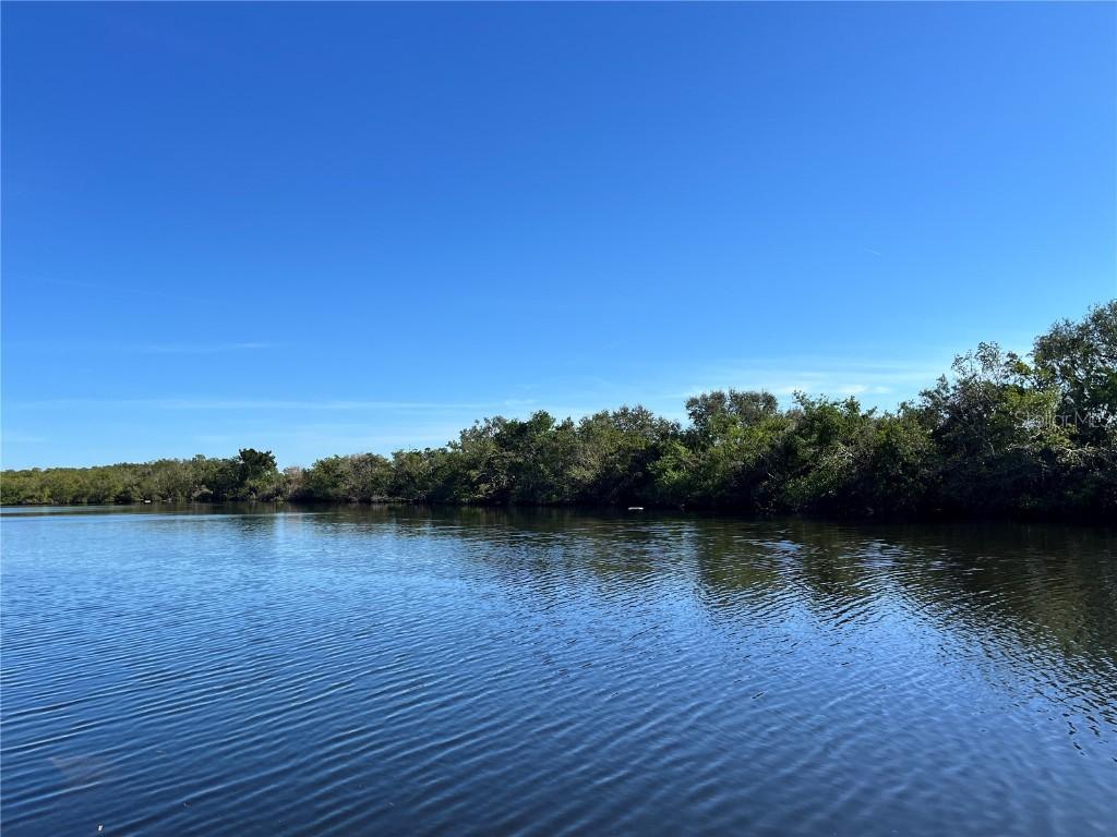 556 Mount Oak Ave. #738, St Petersburg, FL 33702