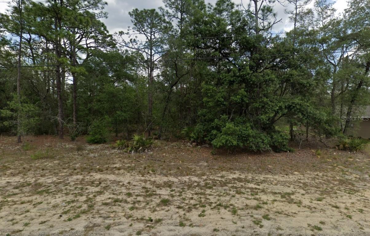 6299 N Allston Ter., Citrus Springs, FL 34433