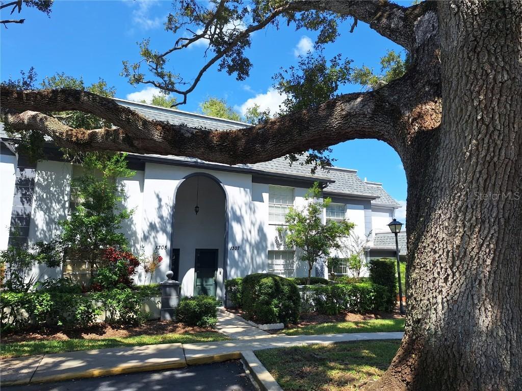 1307 N Mcmullen Booth Rd., Clearwater, FL 33759