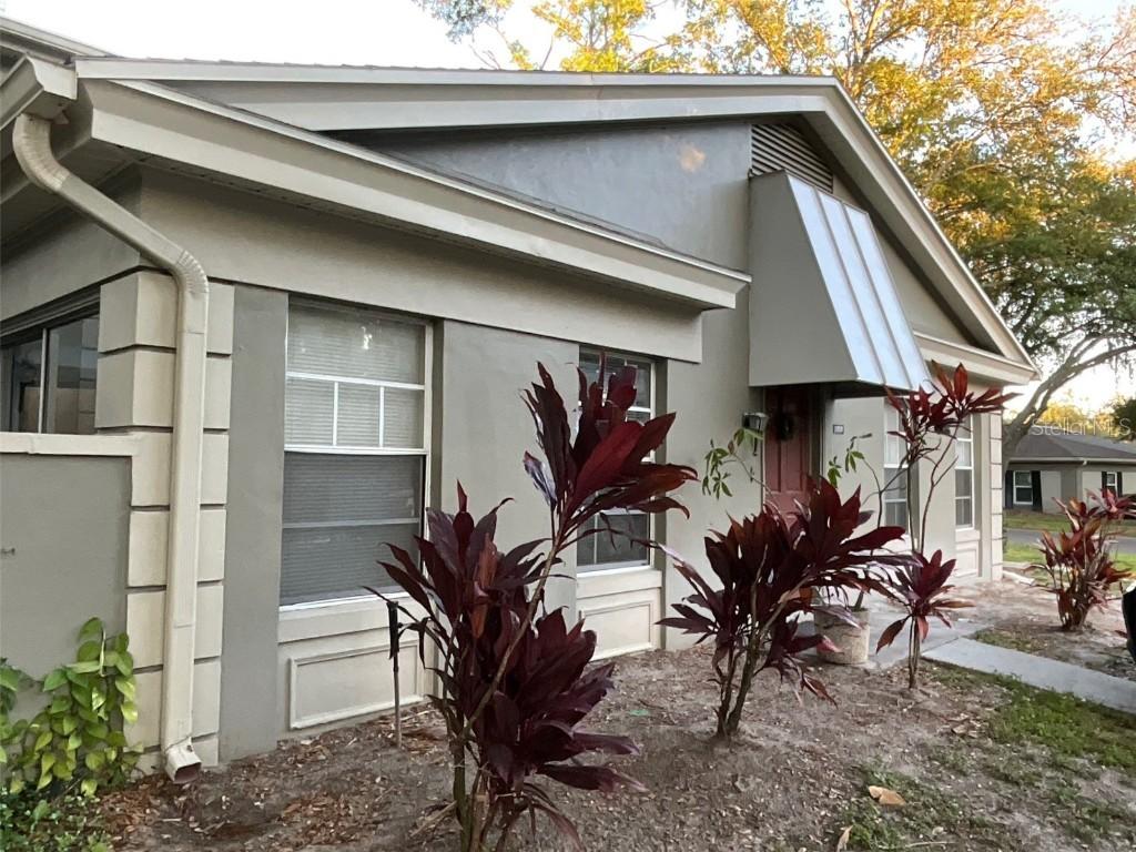 11717 Raintree Dr., Tampa, FL 33617