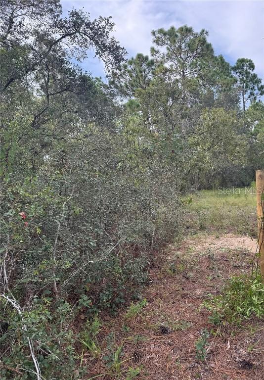 Scooby Rd., Brooksville, FL 34604