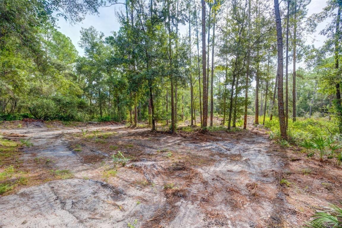 34389 Grindstone Dr., Webster, FL 33597