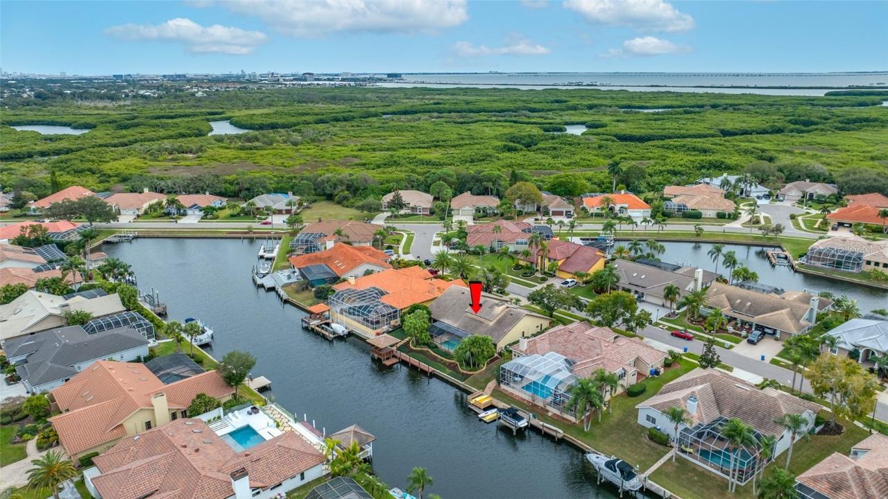 9807 Compass Point Way, Tampa, FL 33615