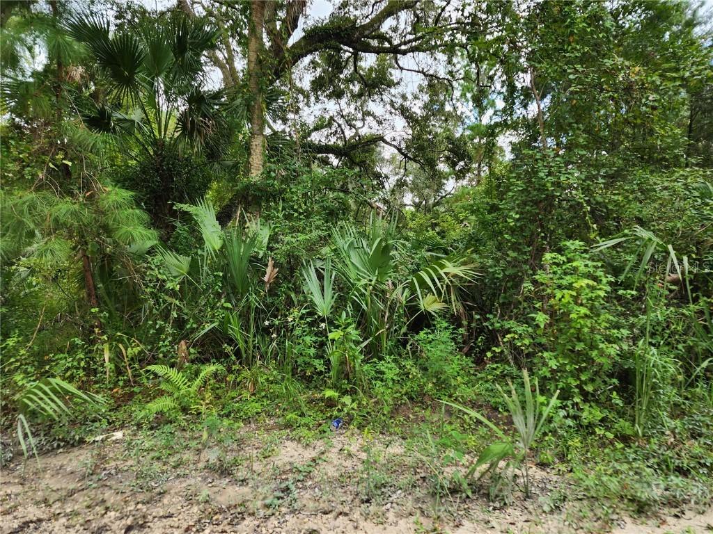 13046 E Shawnee Tr., Inverness, FL 34450