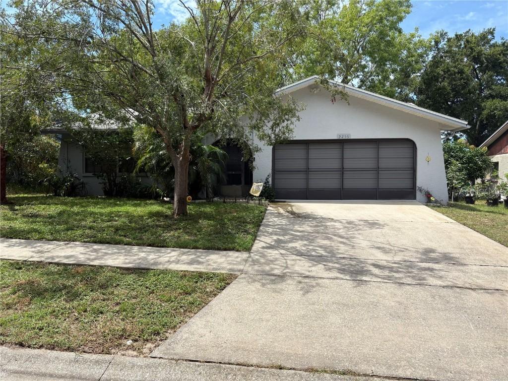 2256 E Orangehill Ave., Palm Harbor, FL 34683