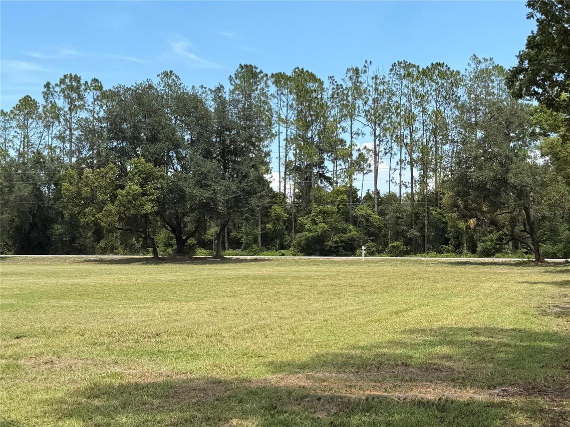Bellamy Brothers Blvd., Dade City, FL 33525