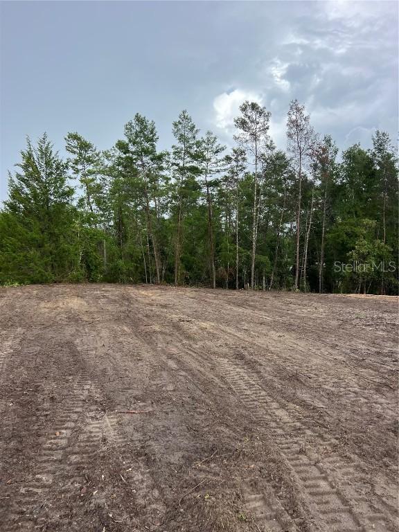 Se 8th St, Morriston, FL 32668