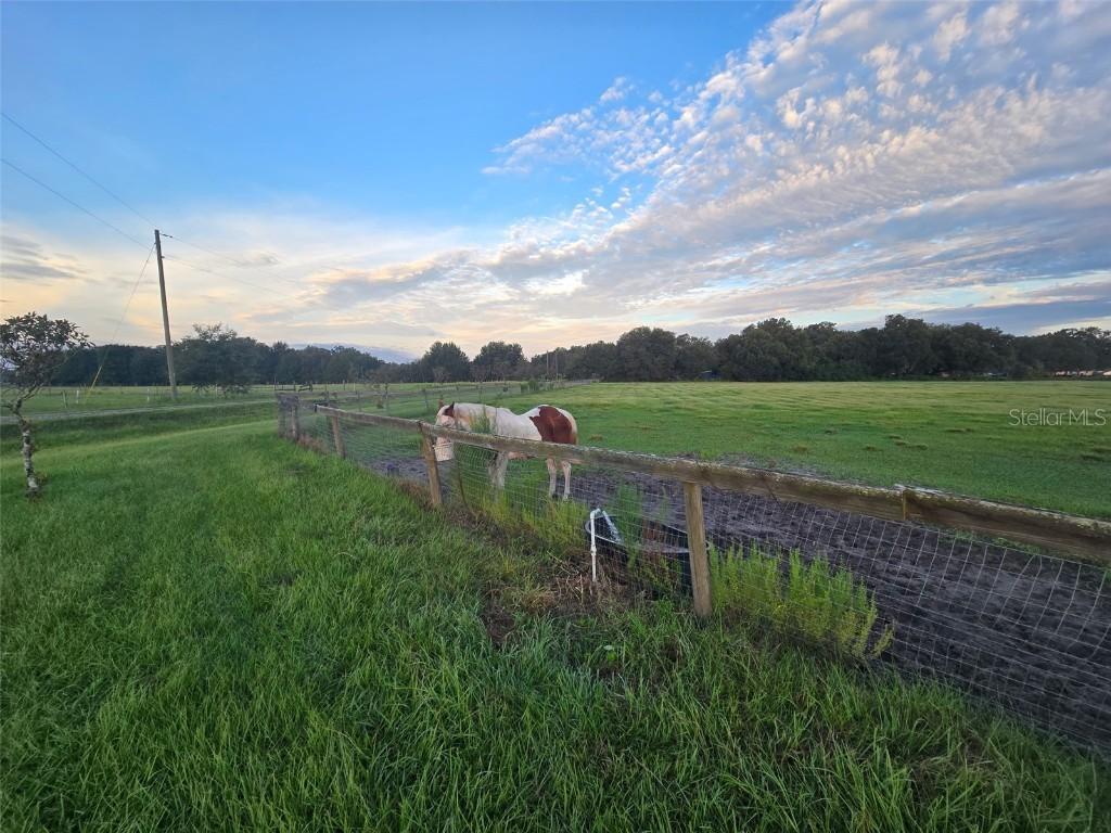 9233 SE 12th Dr., Webster, FL 33597