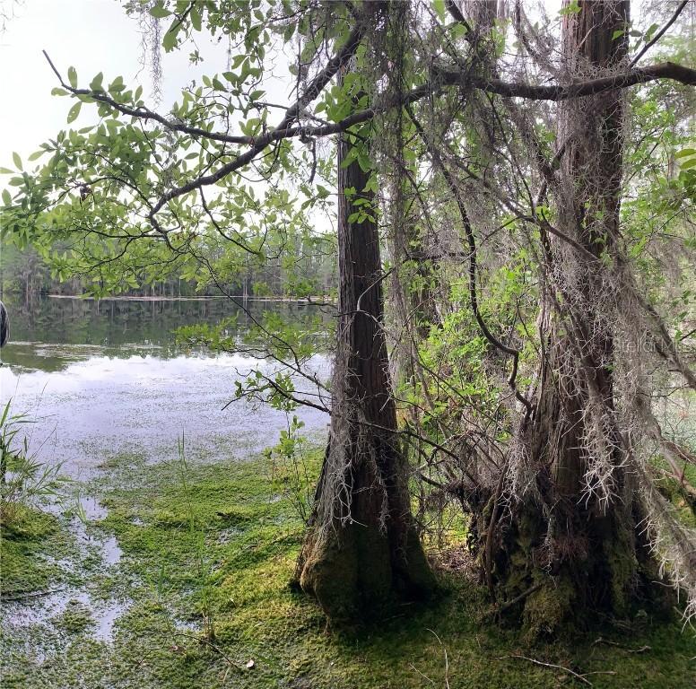 Sw Tower Rd., Lee, FL 32059
