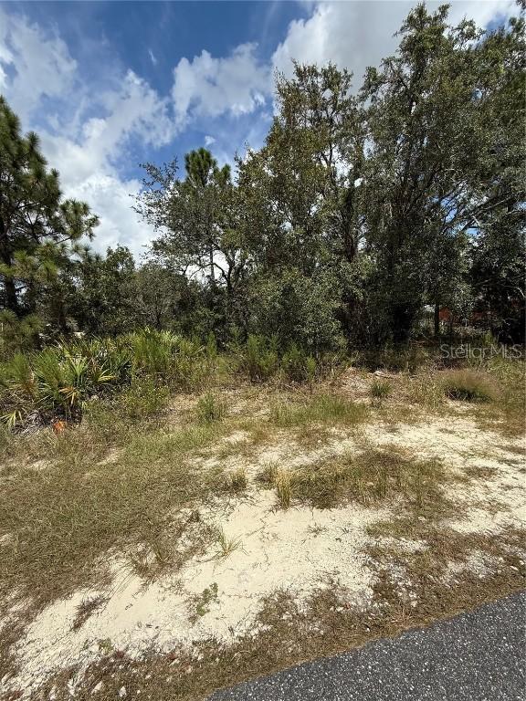 13063 Convent Garden Rd., Brooksville, FL 34613