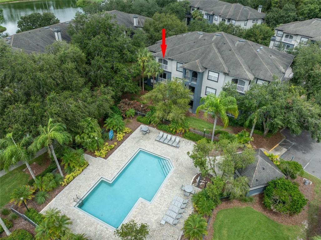 13204 Sanctuary Cove Dr. #303, Temple Terrace, FL 33637