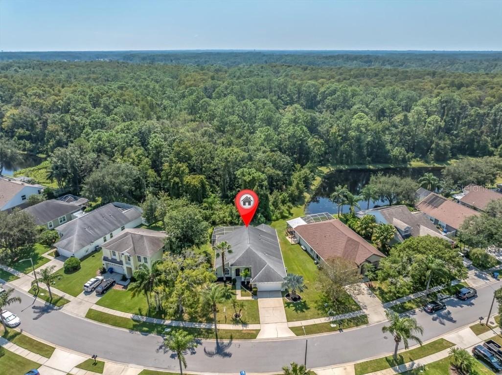 4948 Ridgemoor Cir., Palm Harbor, FL 34685
