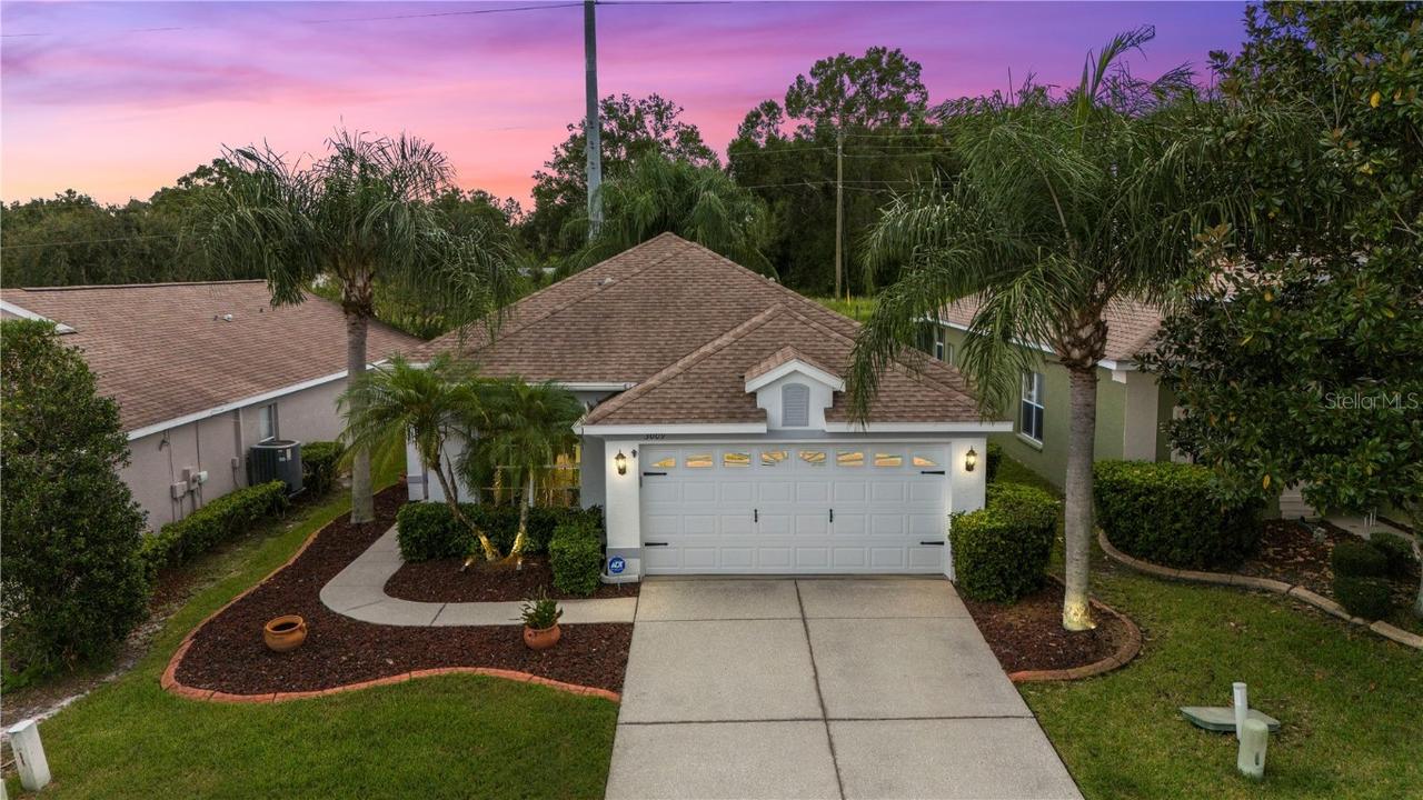 3009 Banyan Hill Ln., Land O Lakes, FL 34639