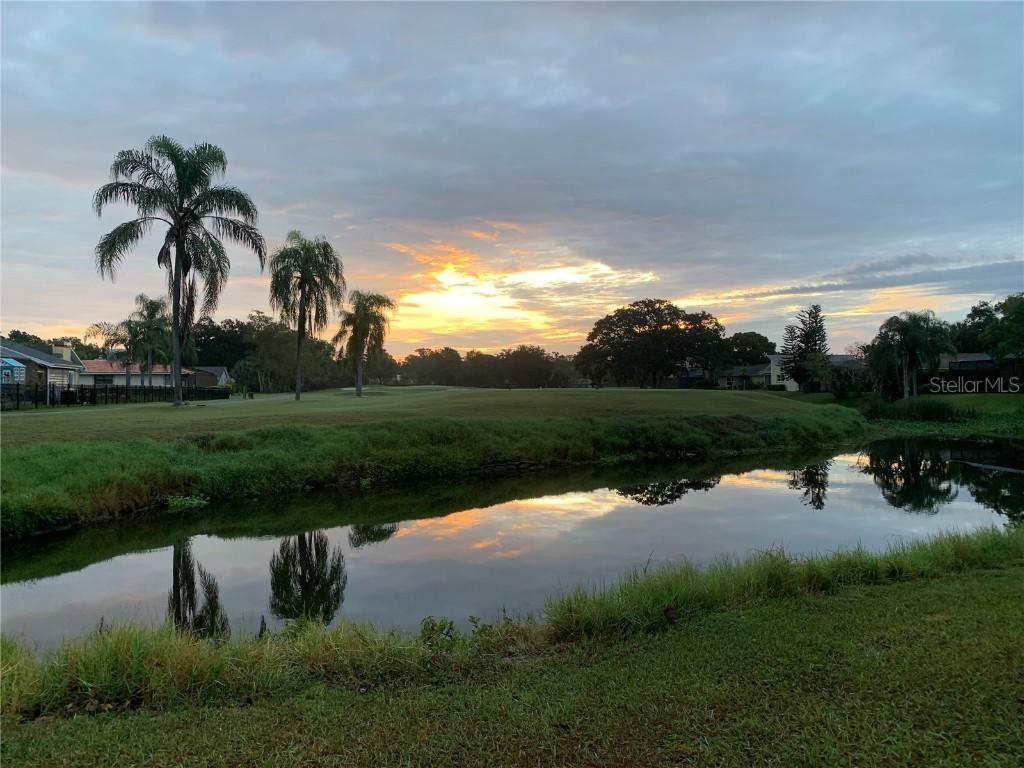 190 Water Oak Way, Oldsmar, FL 34677