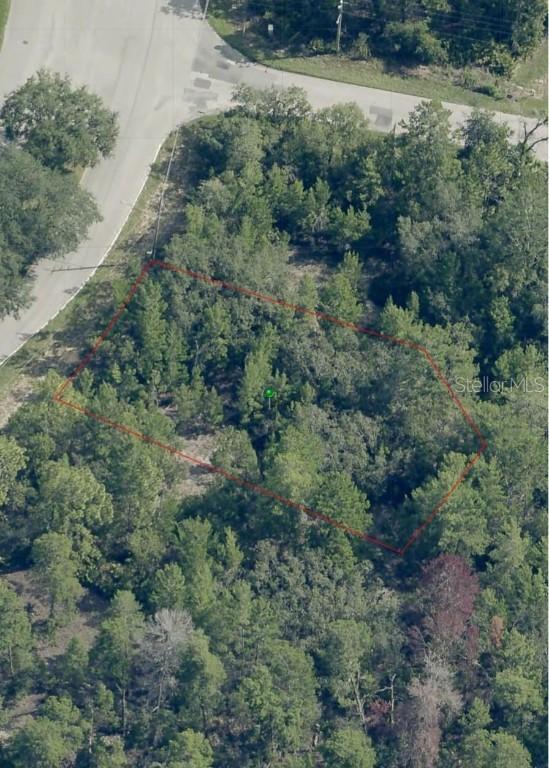 38 Oak Village Blvd., Homosassa, FL 34446
