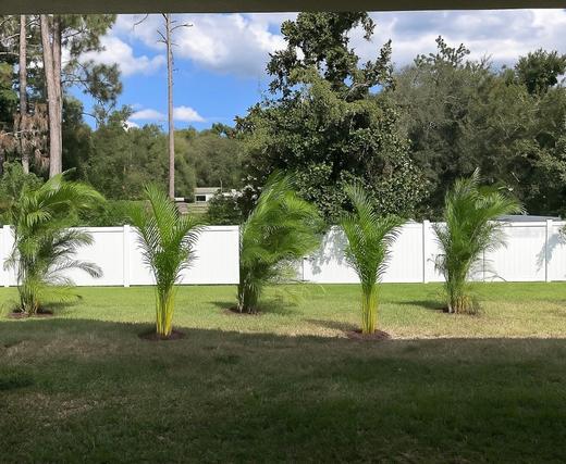 New Homes For Sale This Week That Attend Ridgewood High School: September 12th to September 18th