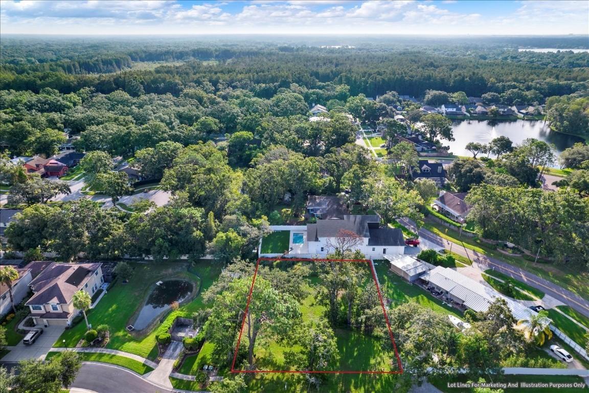 15605 N Himes Ave., Tampa, FL 33618
