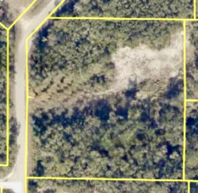 9280 Rousseau St., Webster, FL 33597
