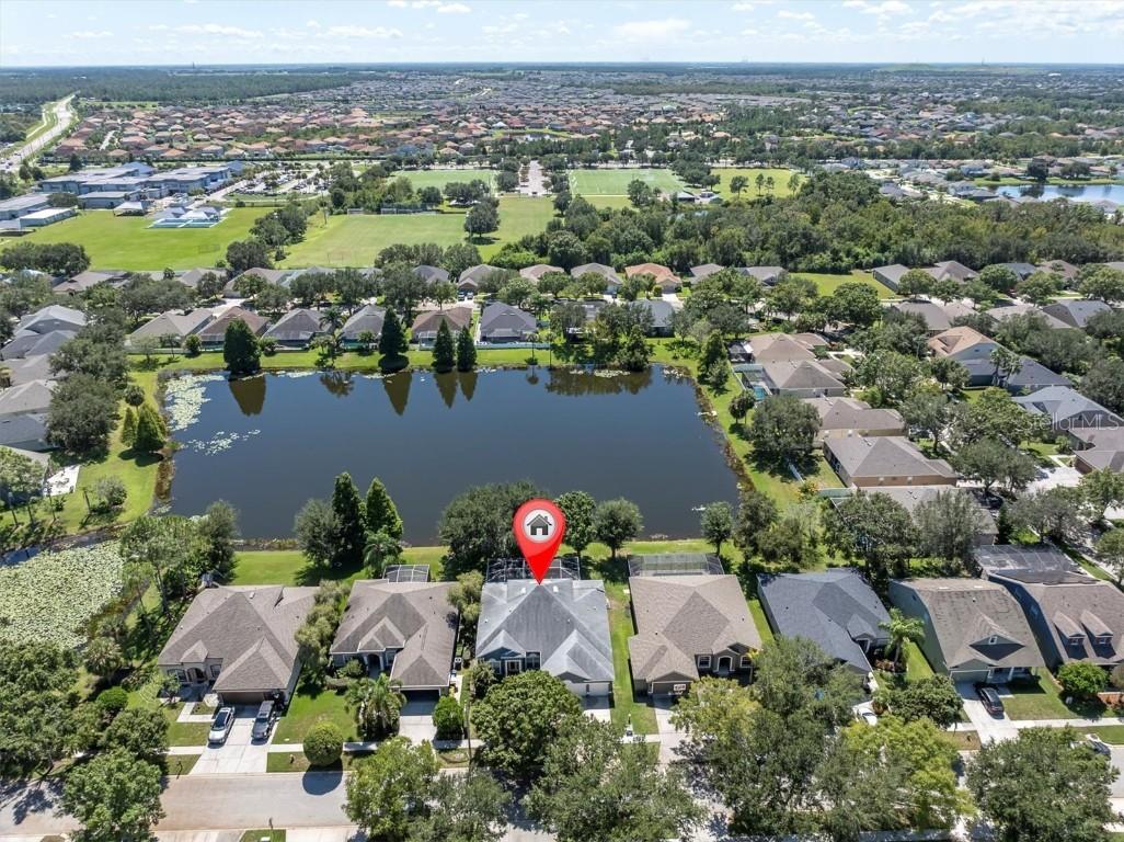 12813 Cattail Shore Ln., Riverview, FL 33579