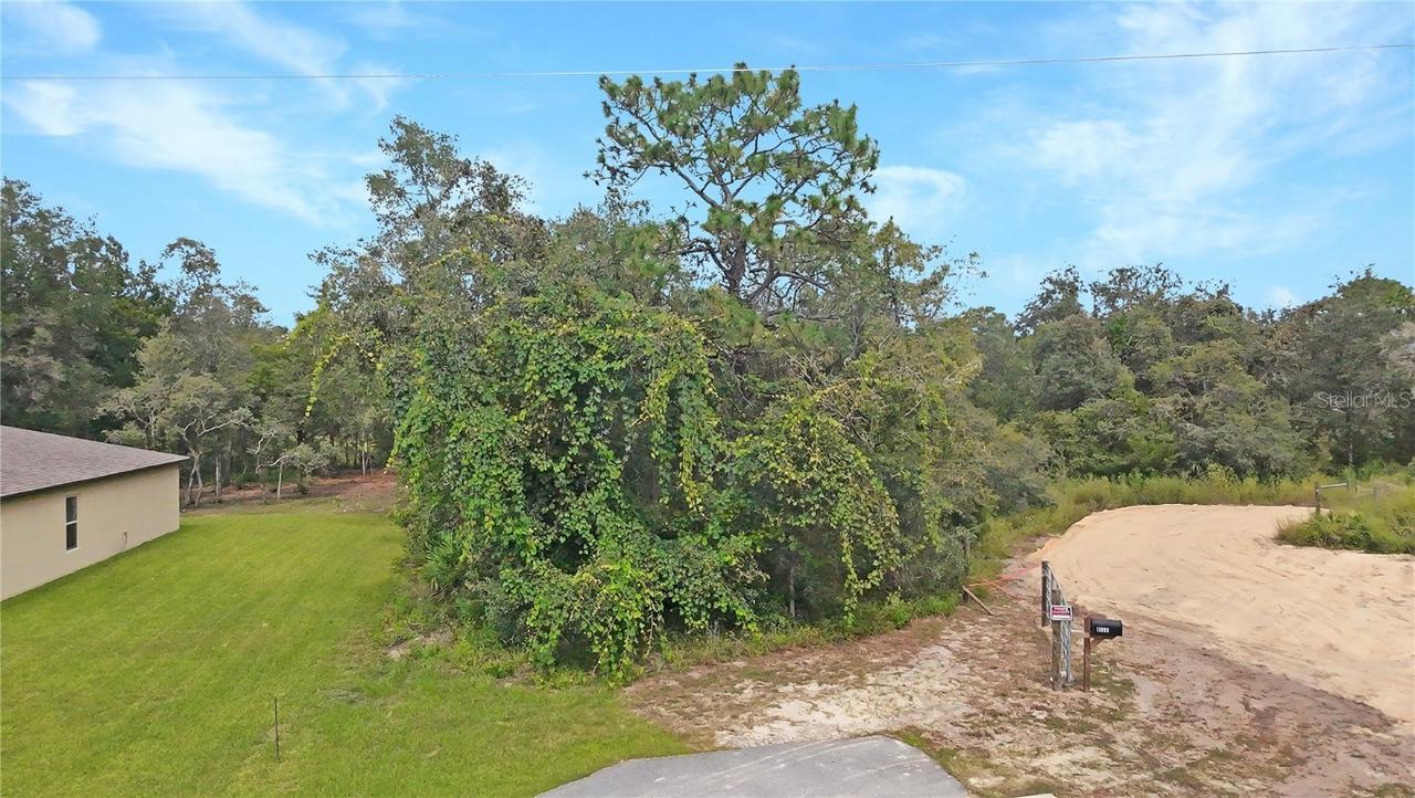 13081 Hornbill Rd., Brooksville, FL 34614