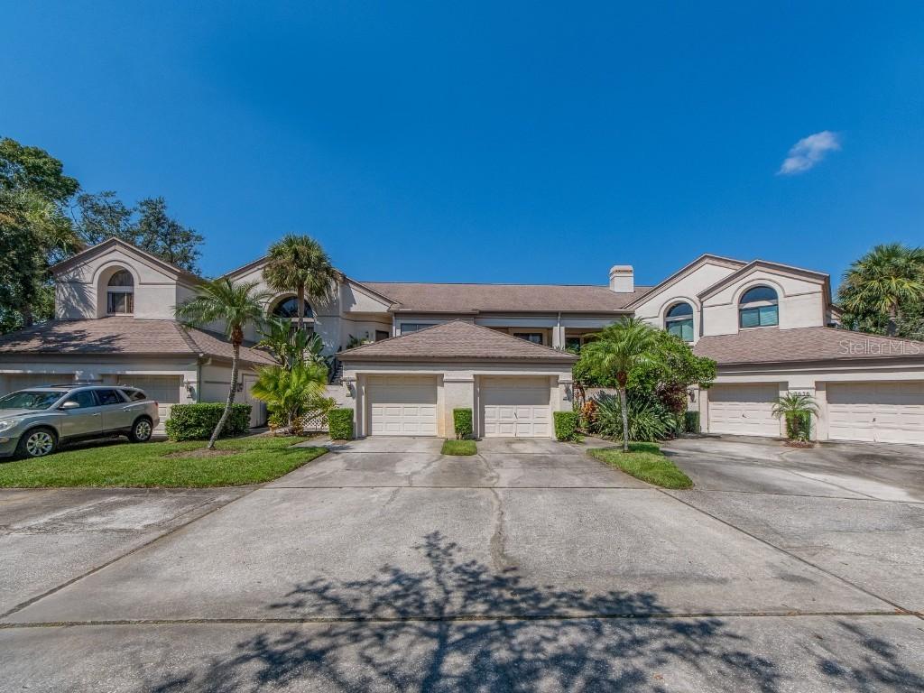 3636 Oak Haven Dr. #102, Palm Harbor, FL 34684
