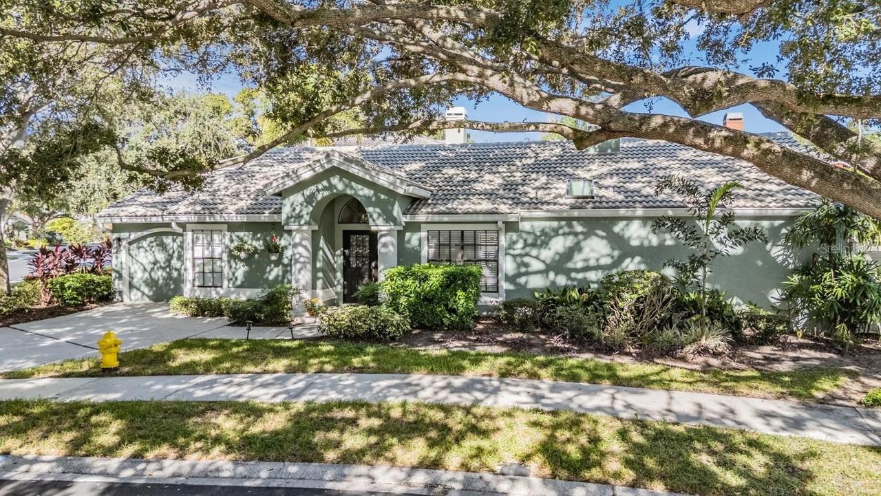 407 Georgetown Pl., Safety Harbor, FL 34695