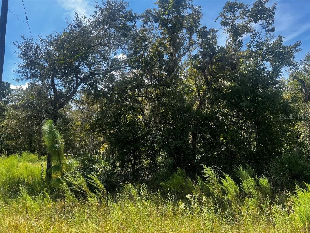 Crider Rd., Weeki Wachee, FL 34614