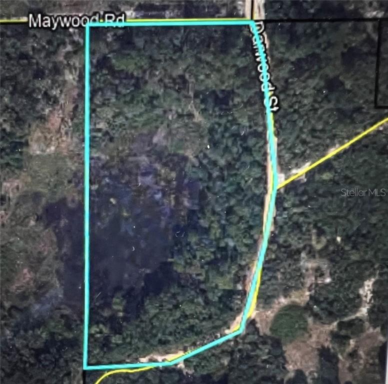 tbd Dane Ln., Melrose, FL 32666