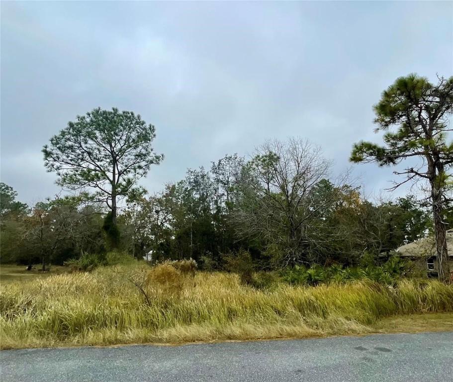 Lot 16 Golden Warbler Rd, Weeki Wachee, FL 34613