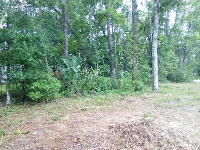 Salinas Avenue New Port Richey, Fl 34654 Ave., New Port Richey, FL 34654