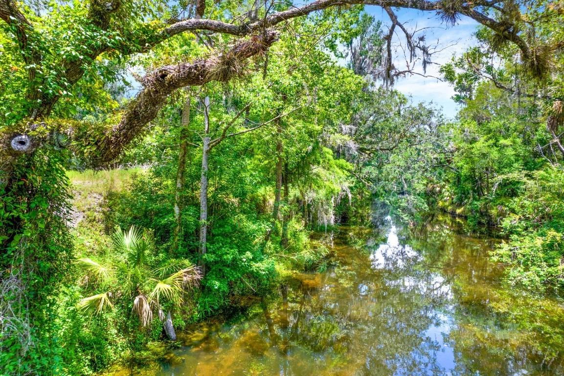 1115 Myrtle Rd., Valrico, FL 33596