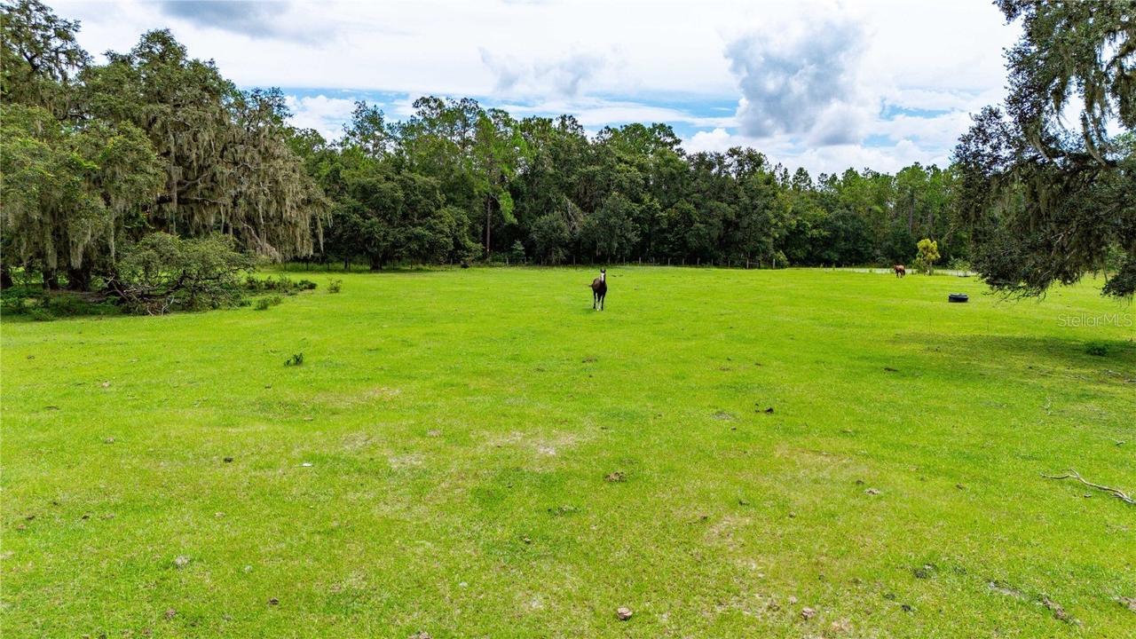Pinkston Rd., Dade City, FL 33523