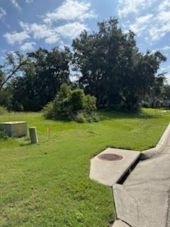 29523 Chapel Park Dr., Wesley Chapel, FL 33543