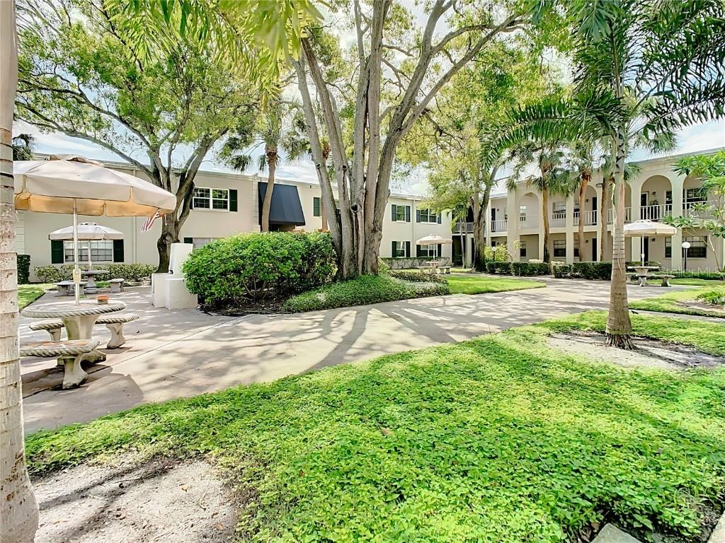4315 Aegean Dr. #202C, Tampa, FL 33611
