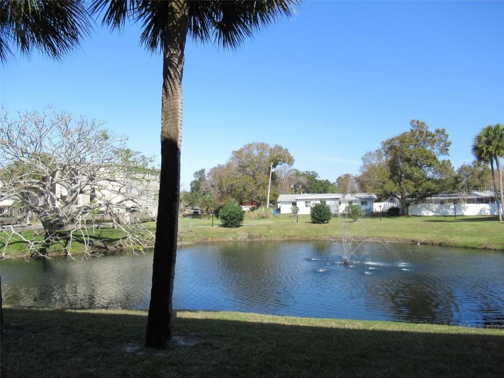 940 Virginia St. #107, Dunedin, FL 34698