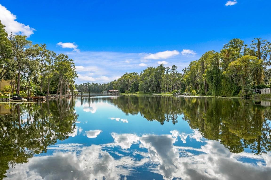 19116 Forrest Dr., Odessa, FL 33556