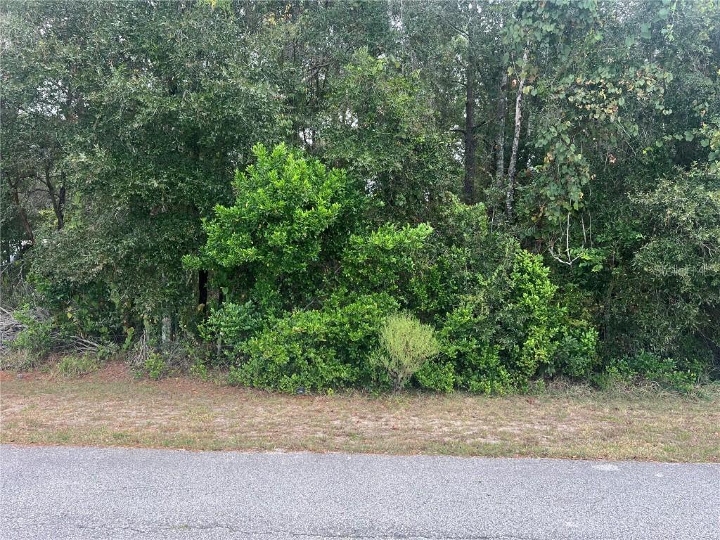 8014 Simmons St., Brooksville, FL 34613