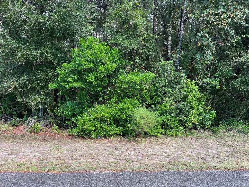 8026 Simmons St., Brooksville, FL 34613