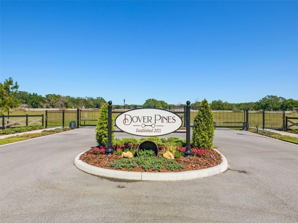 14282 Pine Straw Ct., Dover, FL 33527