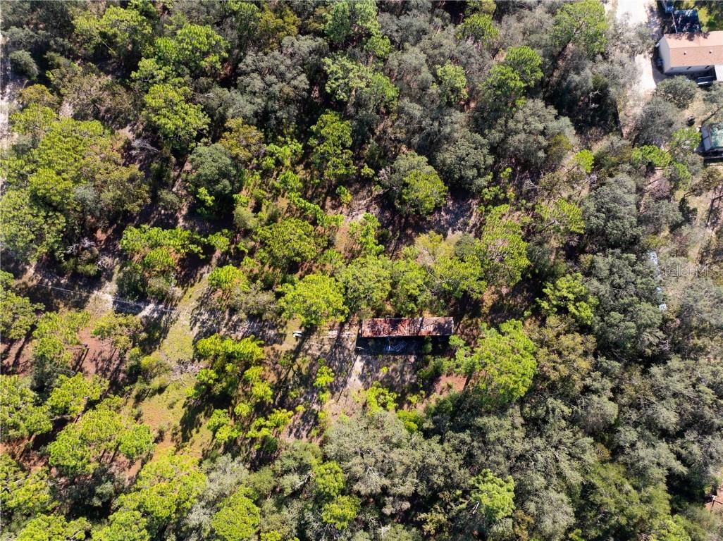Cart Path, Brooksville, FL 34602