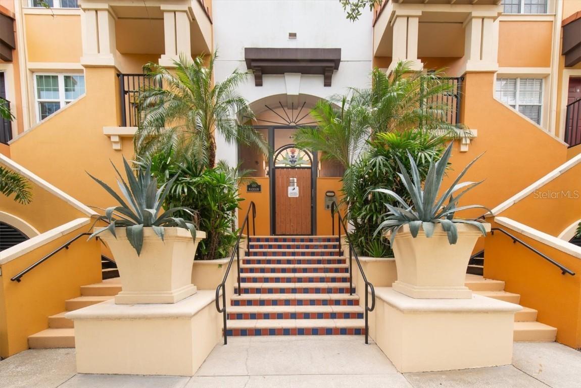 100 4th Ave. #223, St Petersburg, FL 33701