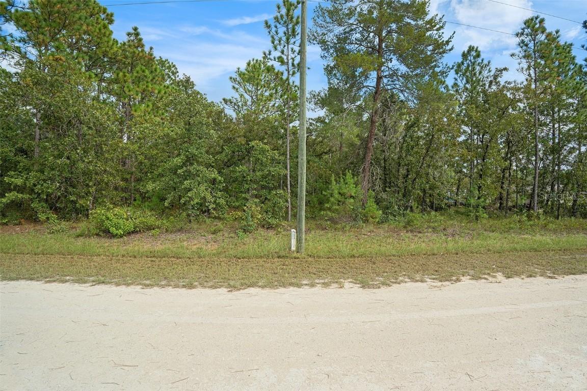 16246 Malden Rd., Brooksville, FL 34614