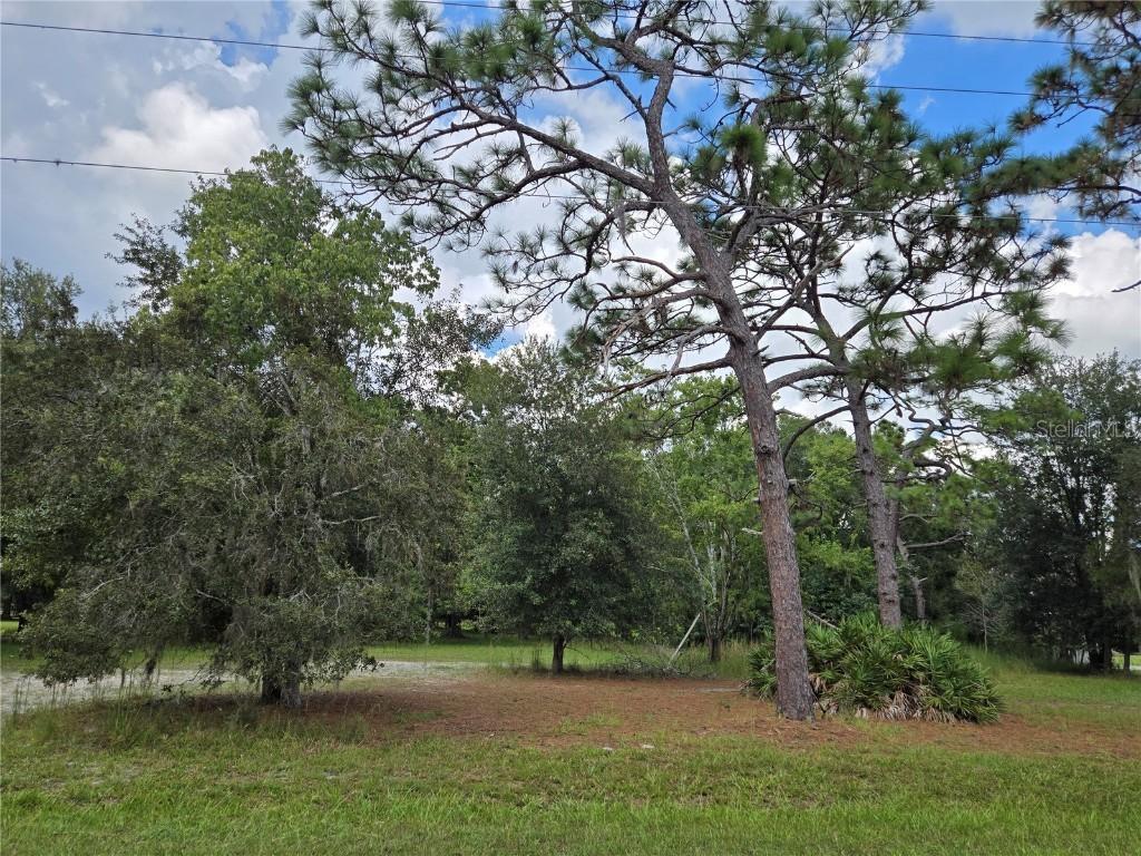 17901 Driftwood Ln., Lutz, FL 33558
