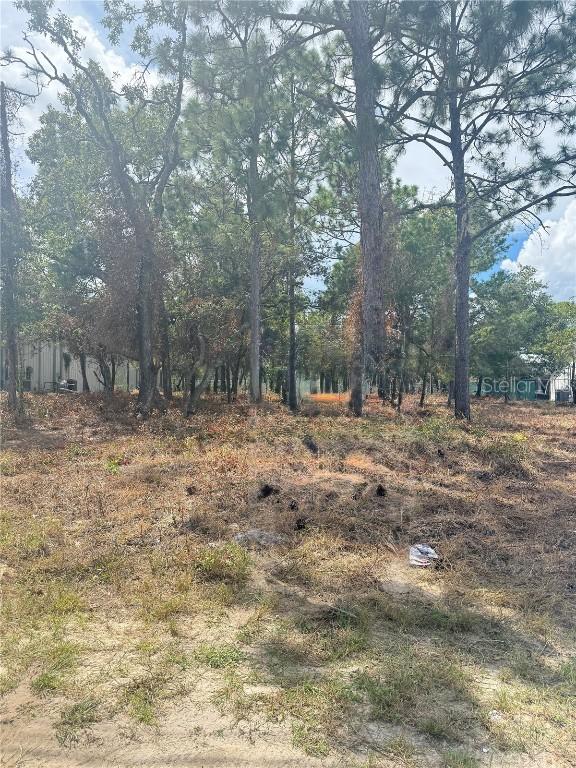 13786 Linden Dr., Spring Hill, FL 34609