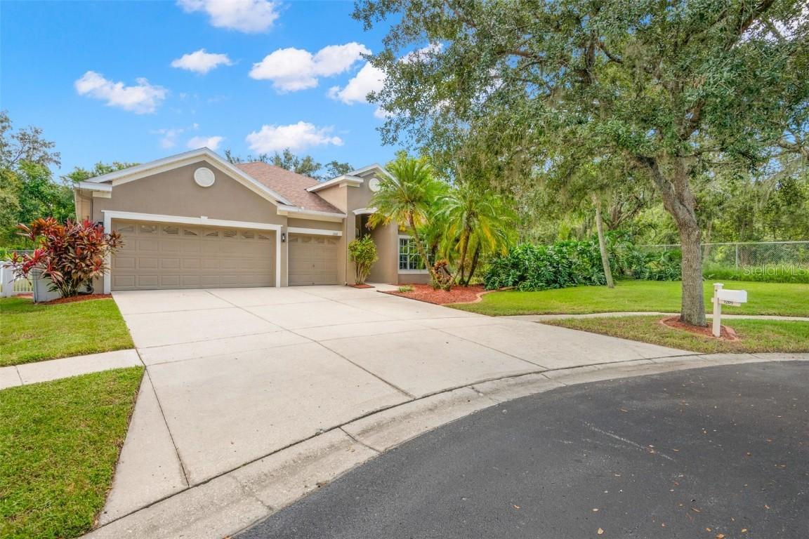 1209 Emerald Hill Way, Valrico, FL 33594